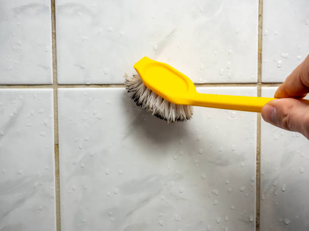 Best Mold Damage Repair  in Lawrenceville, NJ