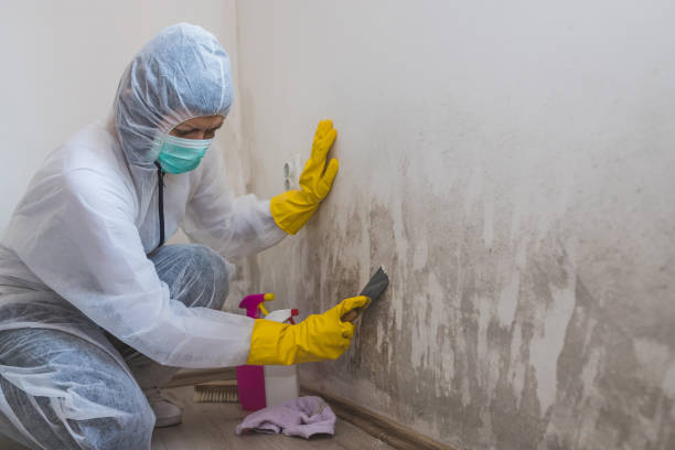 Best Water Damage Restoration  in Lawrenceville, NJ