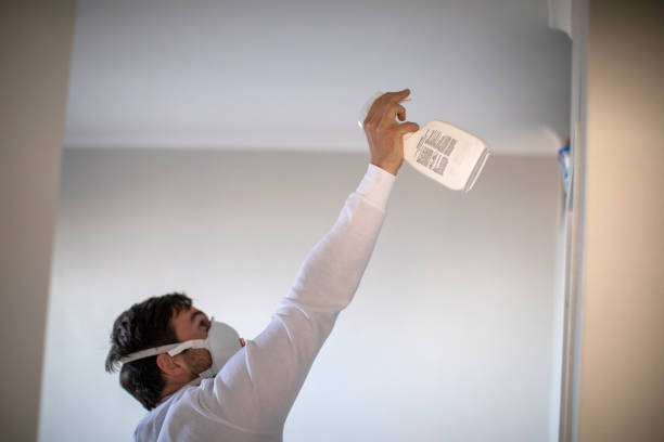 Best Affordable Mold Removal  in Lawrenceville, NJ