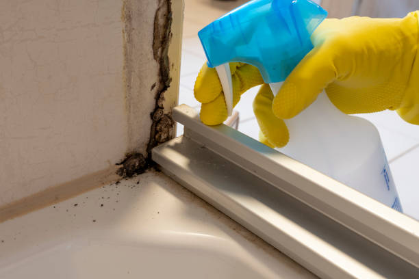 Best Residential Mold Removal  in Lawrenceville, NJ