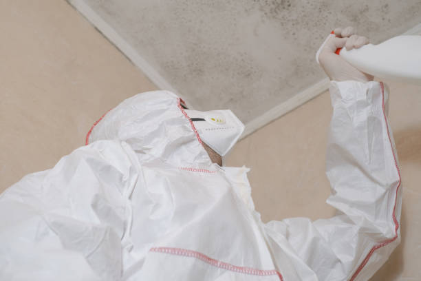 Best Mold Removal Near Me  in Lawrenceville, NJ