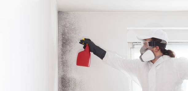 Best Crawl Space Mold Removal  in Lawrenceville, NJ